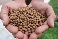 Det är dags att prata om pellets igen!
